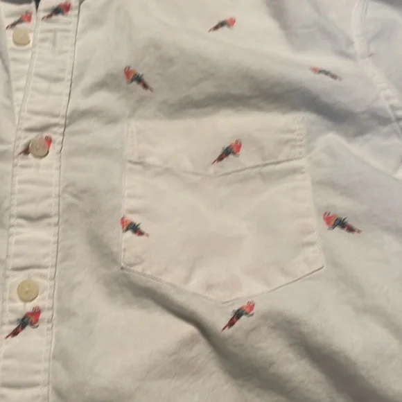 Parrot button down - Picture 2 of 3